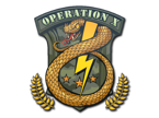 Badge of Service image